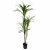 Leaf Design 180cm Artificial Dracaena Plant