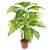 Leaf Design 100cm Large Fox's Aglaonema (Spotted Evergreen) Tree Artificial Plant