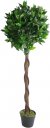 Leaf Design 120cm (4ft) Twist Natural Trunk Artificial Topiary Bay Laurel Ball Tree