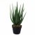 Leaf Design 55cm Artificial Realistic Aloe Vera Succulent Plant with Silver Designer Planter