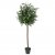Leaf Design 120cm Artificial Olive Bay Style Topiary Fruit Tree