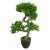 Leaf Design 75cm Artificial Podocarpus Tree With Black Pot (Premium Range)