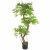 Leaf Design 140cm Realistic Artificial Japanese Fruticosa Tree Ficus Tree