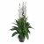 Leaf Design 100cm Artificial Cymbidium Orchid Plant (XL - White Flowers)