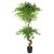 Leaf Design 150cm Twisted Trunk Artificial Japanese Fruticosa Style Ficus Tree