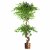 Leaf Design 150cm Twisted Trunk Artificial Japanese Fruticosa Ficus Tree Copper Planter