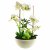 Leaf Design 55cm Artificial Blossoming Orchid Display in Ceramic Planter