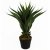 Leaf Design 55cm Artificial Yucca Plant