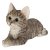 Vivid Arts Laying Tabby Kitten (Size F)