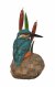 Vivid Arts Kingfisher on Stone with Bulrush (Size F)