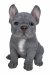 Vivid Arts Pet Pals Blue French Bulldog (Size F)