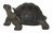 Vivid Arts Pet Pals Baby Tortoise (Size F)