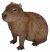 Vivid Arts Pet Pals Capybara (Size F)