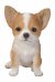 Vivid Arts Pet Pals Chihuahua Brown/White (Size F)