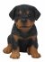 Vivid Arts Pet Pals Rottweiler Puppy (Size F)