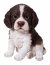 Vivid Arts Pet Pals Springer Spaniel Puppy (Size F)