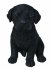 Vivid Arts Pet Pals Black Labrador Pup - Size F