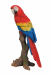 Vivid Arts Red Macaw Perched - Size B