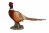 Vivid Arts Real Life Pheasant - Size A