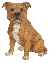 Vivid Arts Real Life Tan Staffordshire Terrier (Size D)