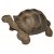 Vivid Arts Real Life Giant Tortoise - Size B