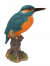 Vivid Arts Kingfisher on Stump - Size F 