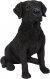Vivid Arts Real Life Black Labrador (Size D)