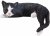 Vivid Arts Real Life Laying Cat Black/White - Size B 