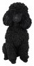 Vivid Arts Real Life Sitting Black Poodle (Size D)
