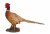 Vivid Arts Real Life Pheasant (Size D)
