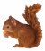 Vivid Arts Real Life Baby Red Squirrel (Size F)