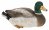 Vivid Arts Real Life Squatting Mallard Duck (Size B)