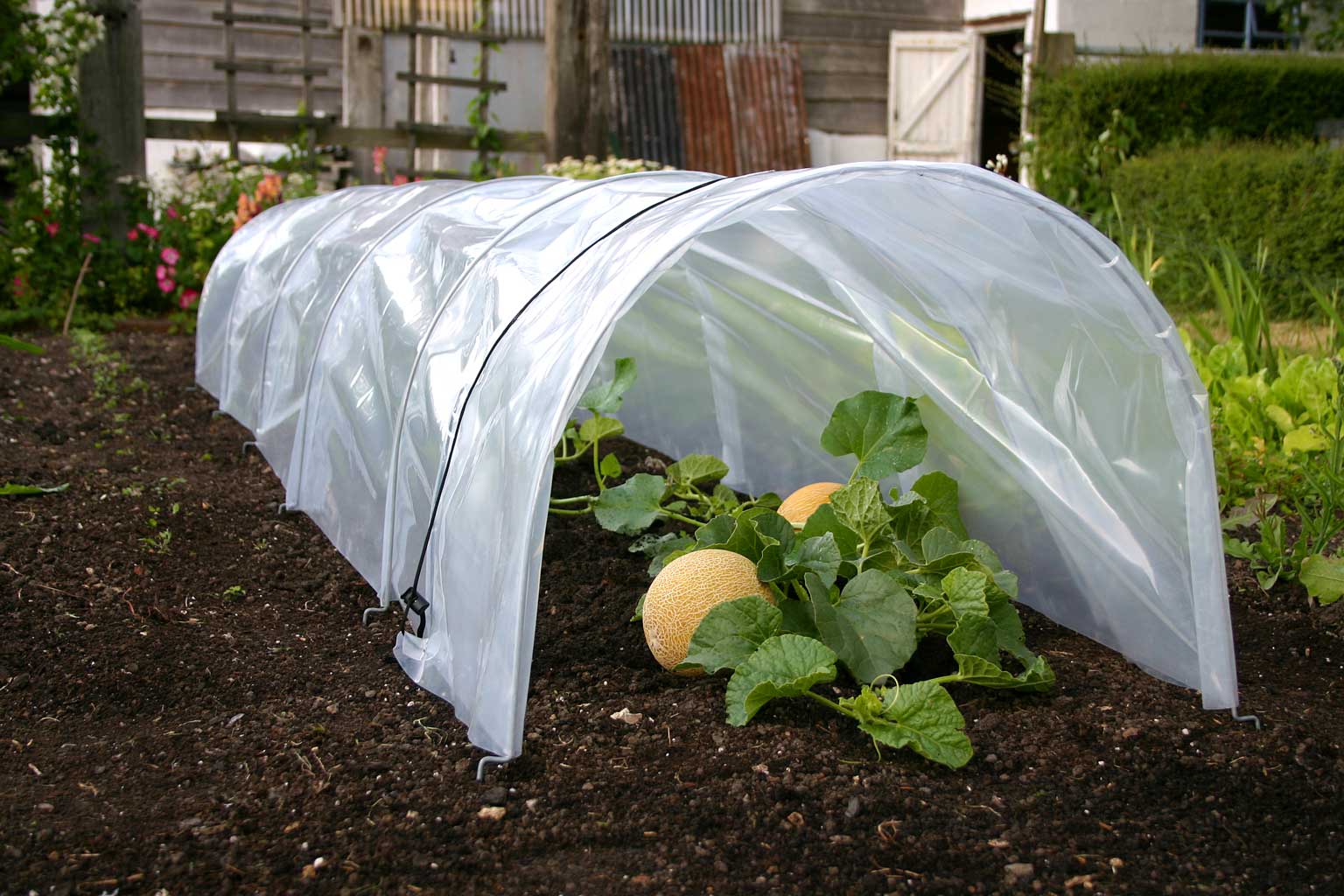 Haxnicks Giant Easy Poly Tunnel