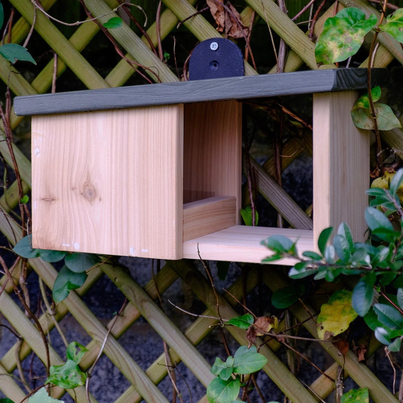 Image of Wildlife World Simon King Wooden Robin Nest Box