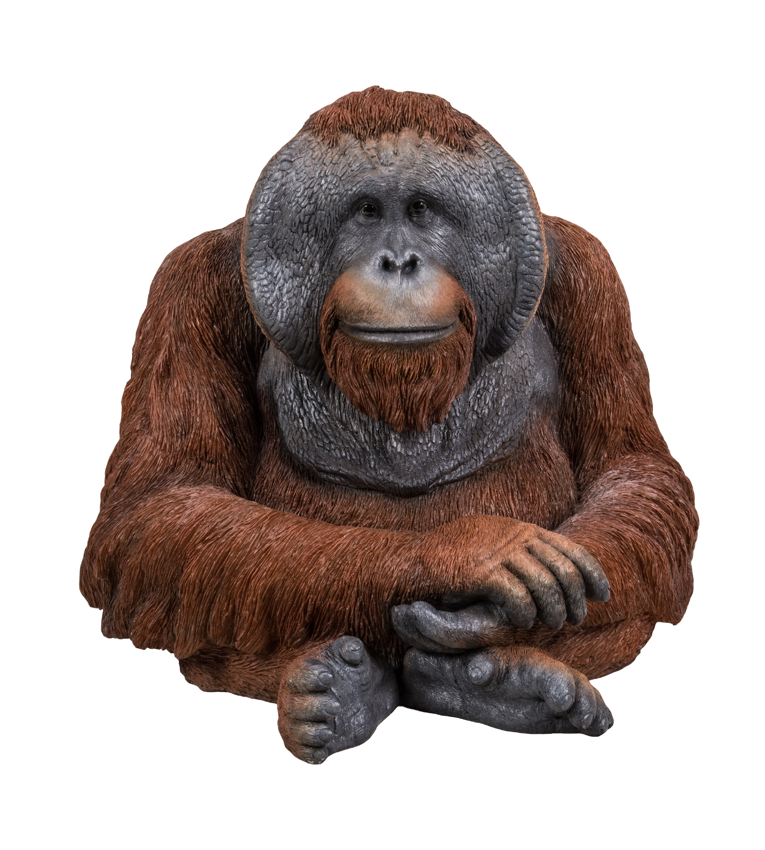 Vivid Arts Real Life Orangutan - Size D