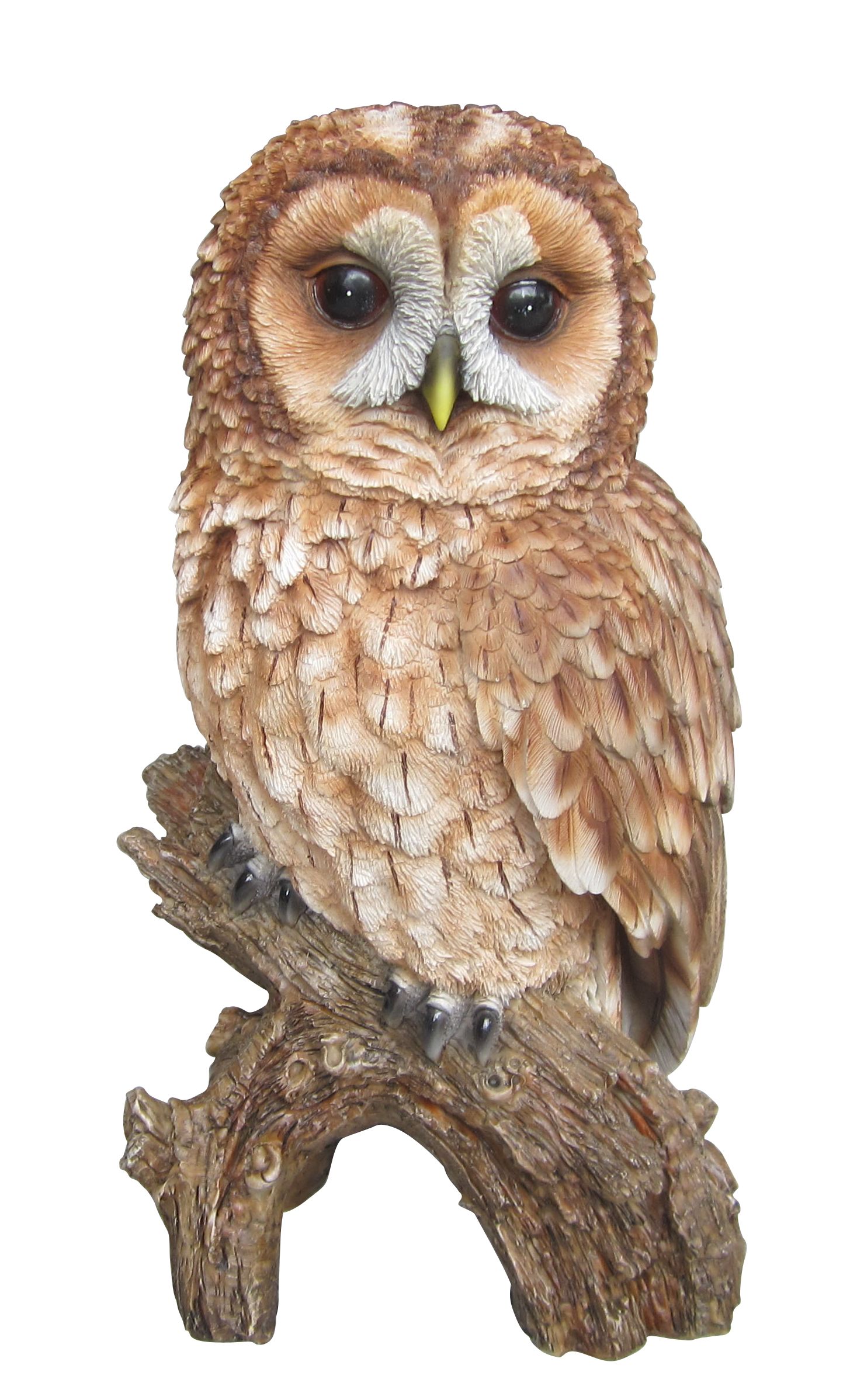 Vivid Arts Real Life Tawny Owl (Size F) from Keen Gardener