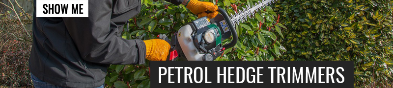 Petrol Hedge Trimmers